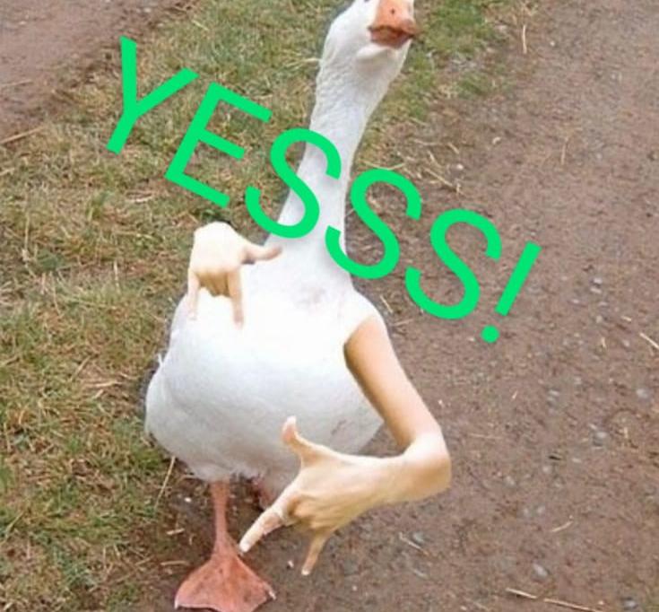 Yessss